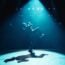 Raygun