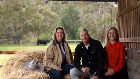 McLeod's Daughters announce